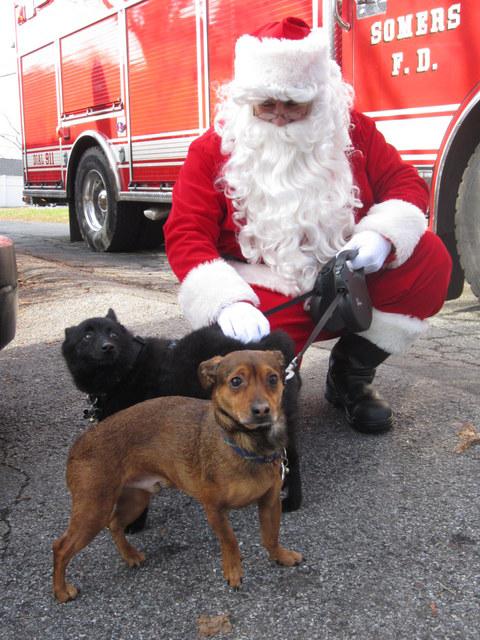 Candy Cane Run - 2012